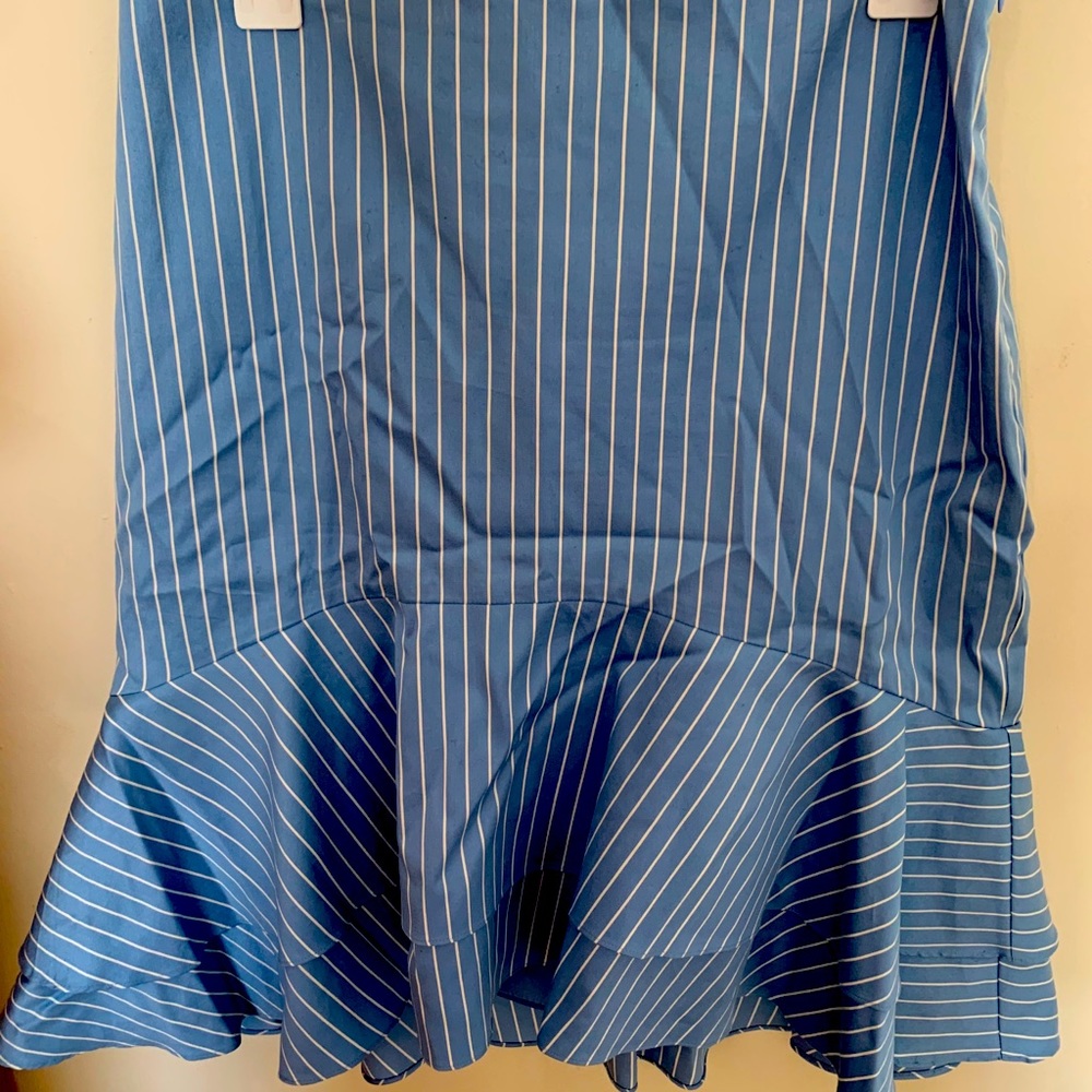 Elegant and fancy skirt